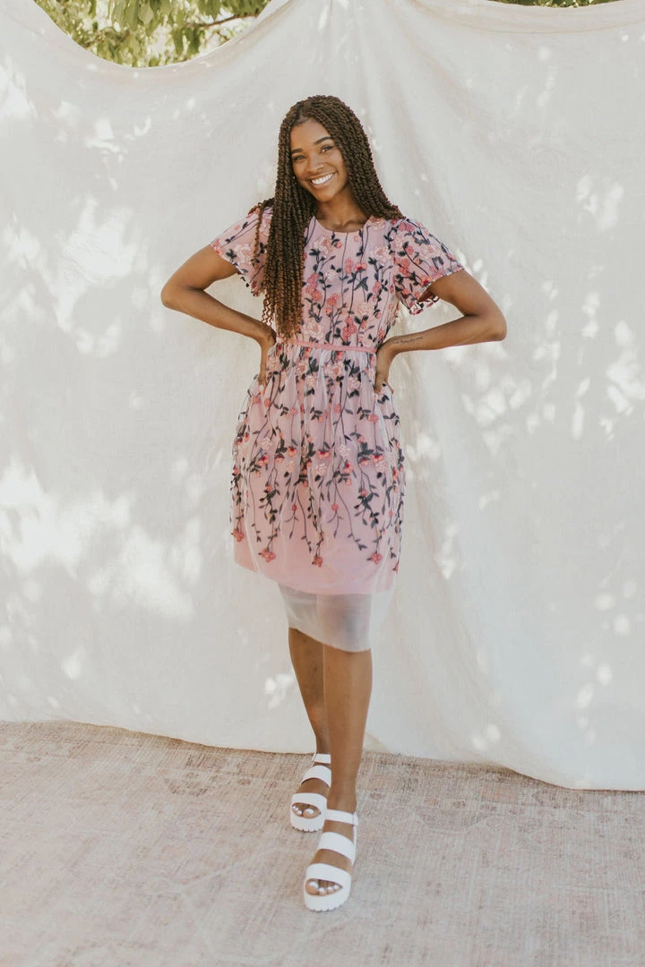 Henly Pinch Me Embroidered Dress Dresses