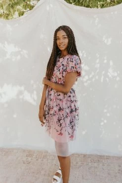 Henly Pinch Me Embroidered Dress Dresses