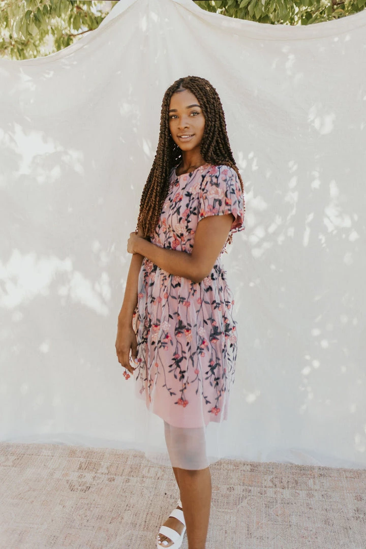 Henly Pinch Me Embroidered Dress Dresses