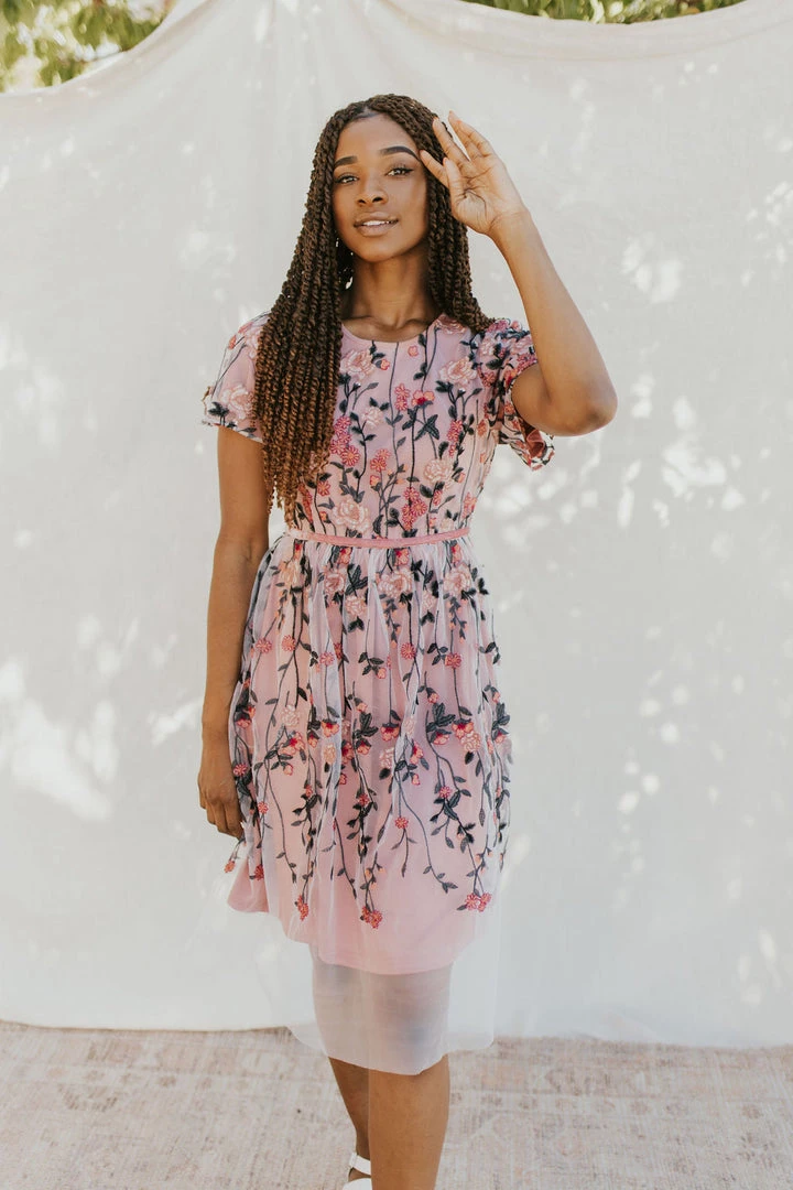 Henly Pinch Me Embroidered Dress Dresses