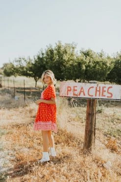 Henly Dresses Elora Dress In Boho Red