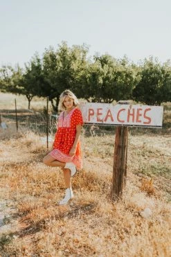 Henly Dresses Elora Dress In Boho Red