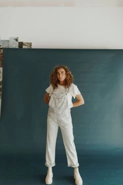Henly Free People Ziggy Denim Overall In Railroad