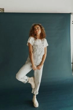 Henly Free People Ziggy Denim Overall In Railroad