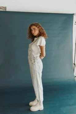 Henly Free People Ziggy Denim Overall In Railroad