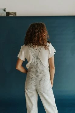 Henly Free People Ziggy Denim Overall In Railroad