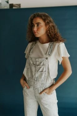 Henly Free People Ziggy Denim Overall In Railroad