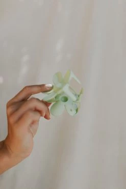 Henly Daisy Claw Clip - 2 Colors Accessories