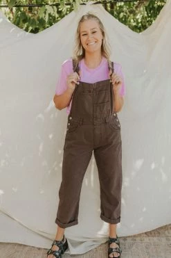 Henly Free People Ziggy Denim Overall In Mocha