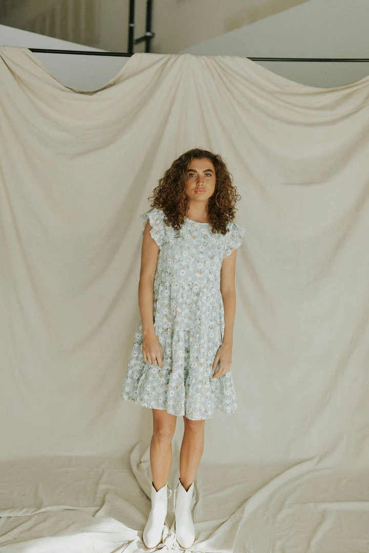 Henly Burst Embroidered Dress In Baby Blue Dresses