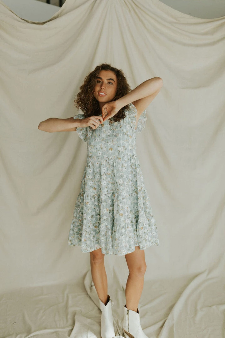 Henly Burst Embroidered Dress In Baby Blue Dresses