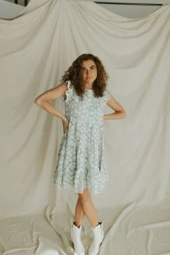 Henly Burst Embroidered Dress In Baby Blue Dresses