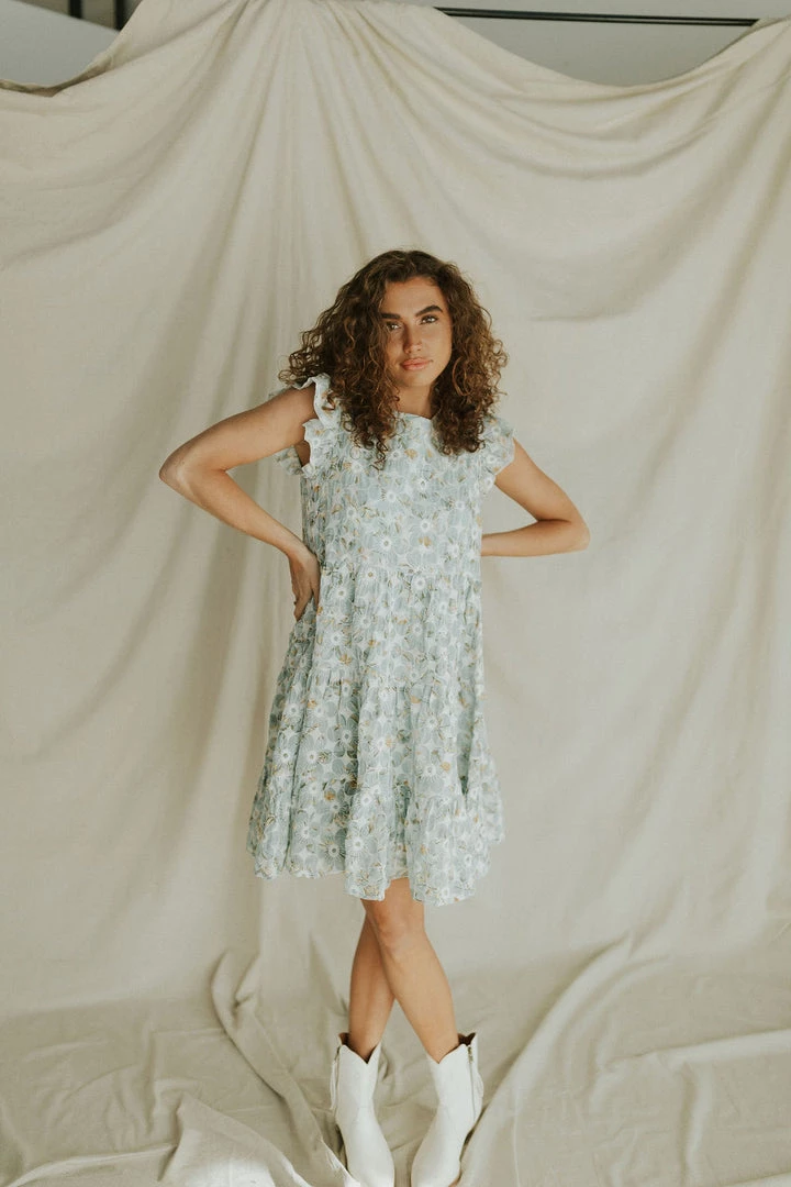 Henly Burst Embroidered Dress In Baby Blue Dresses