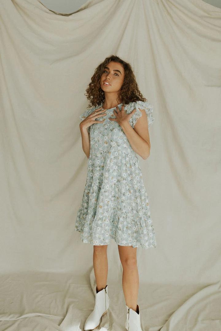 Henly Burst Embroidered Dress In Baby Blue Dresses