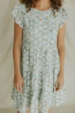 Henly Burst Embroidered Dress In Baby Blue Dresses