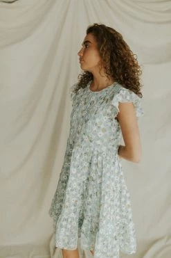 Henly Burst Embroidered Dress In Baby Blue Dresses
