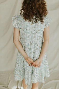 Henly Burst Embroidered Dress In Baby Blue Dresses