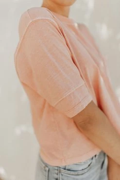 Henly Free People Alissa Tee In Roseblush Tops